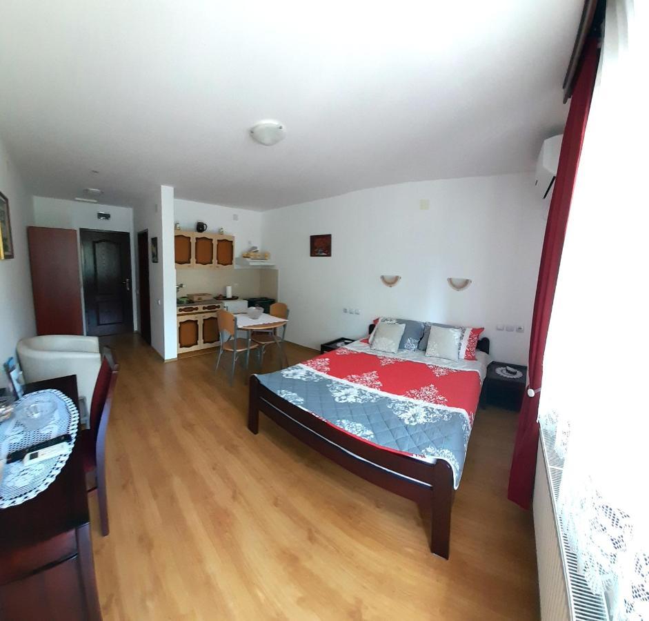 Apartmani "Vila Jelena" 阿然德洛维克 外观 照片