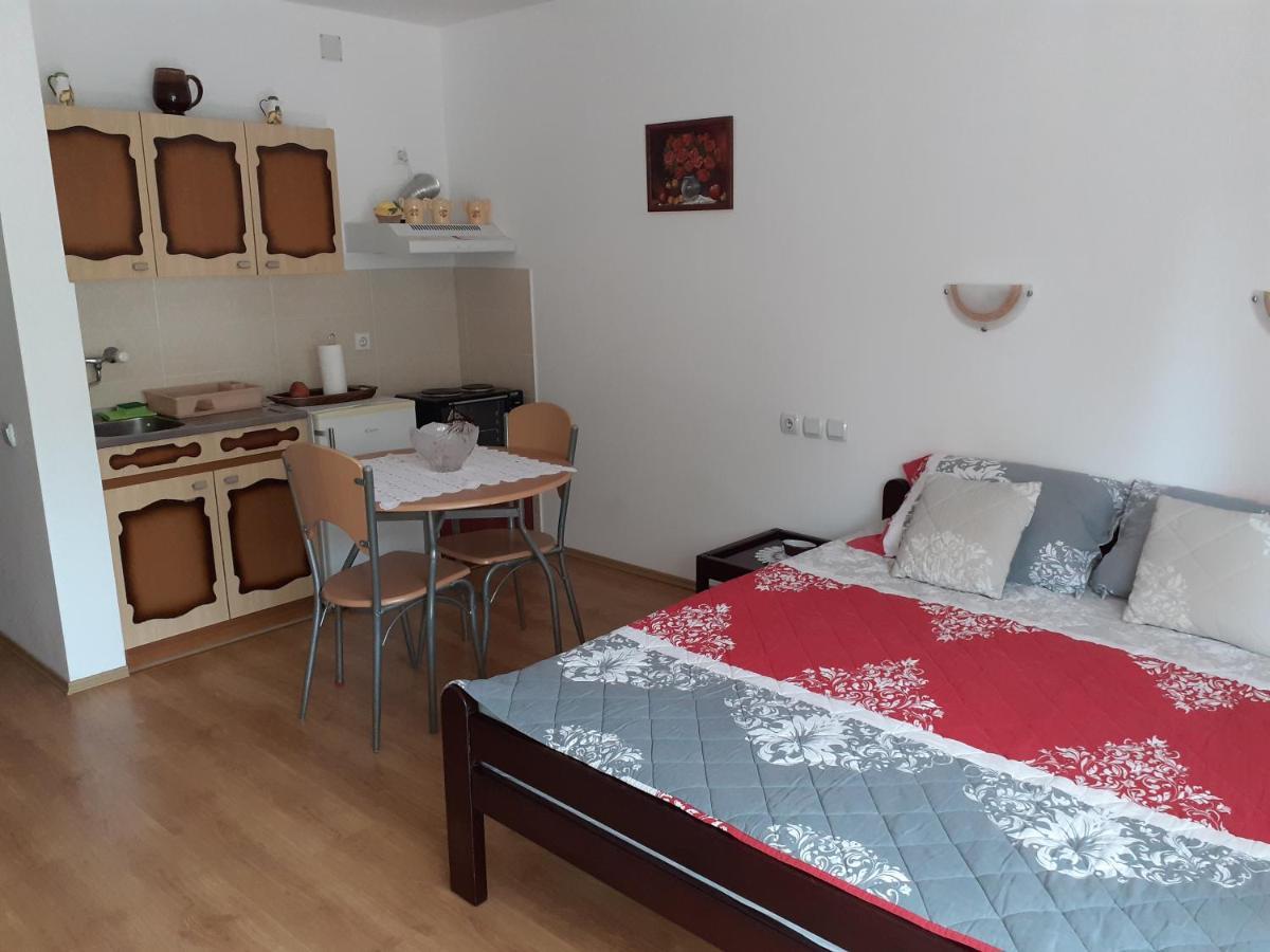 Apartmani "Vila Jelena" 阿然德洛维克 外观 照片