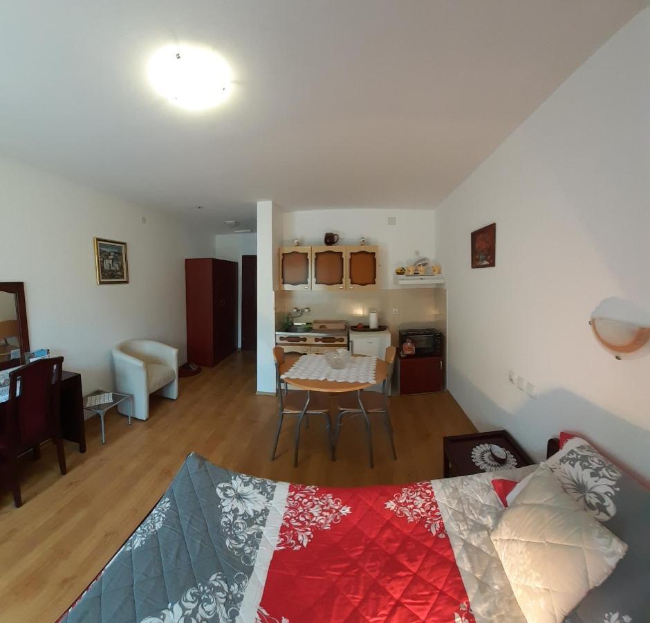 Apartmani "Vila Jelena" 阿然德洛维克 外观 照片