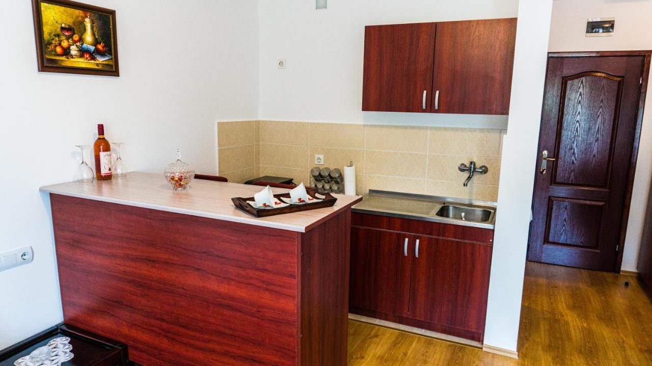 Apartmani "Vila Jelena" 阿然德洛维克 外观 照片