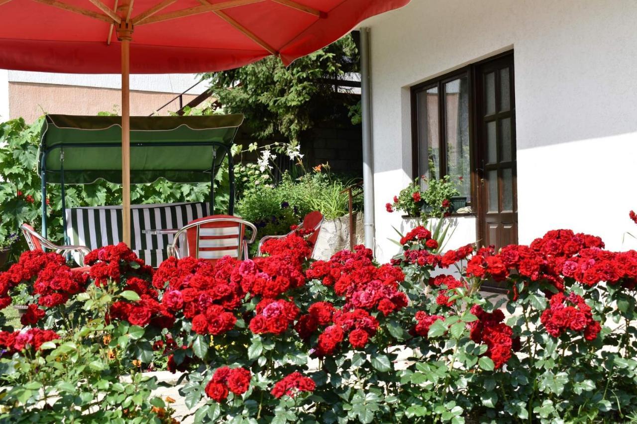 Apartmani "Vila Jelena" 阿然德洛维克 外观 照片