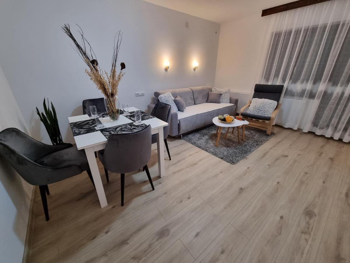 Apartmani "Vila Jelena" 阿然德洛维克 外观 照片
