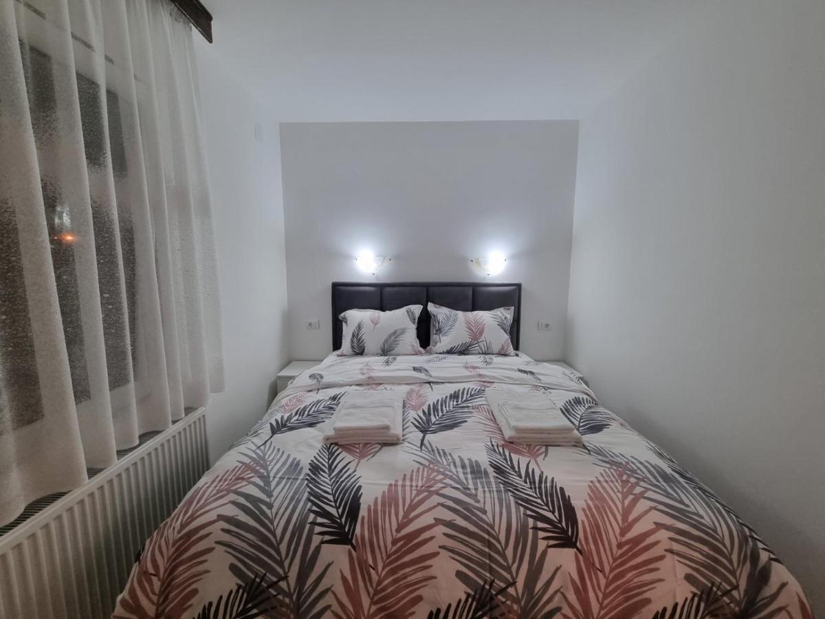 Apartmani "Vila Jelena" 阿然德洛维克 外观 照片