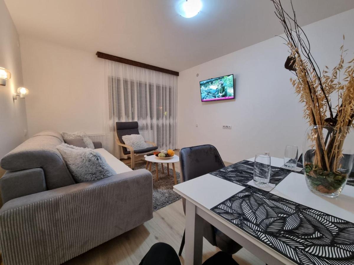 Apartmani "Vila Jelena" 阿然德洛维克 外观 照片