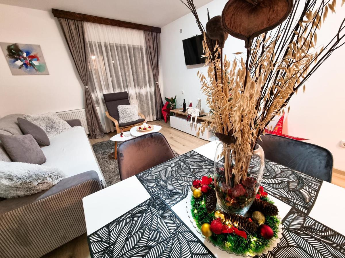 Apartmani "Vila Jelena" 阿然德洛维克 外观 照片