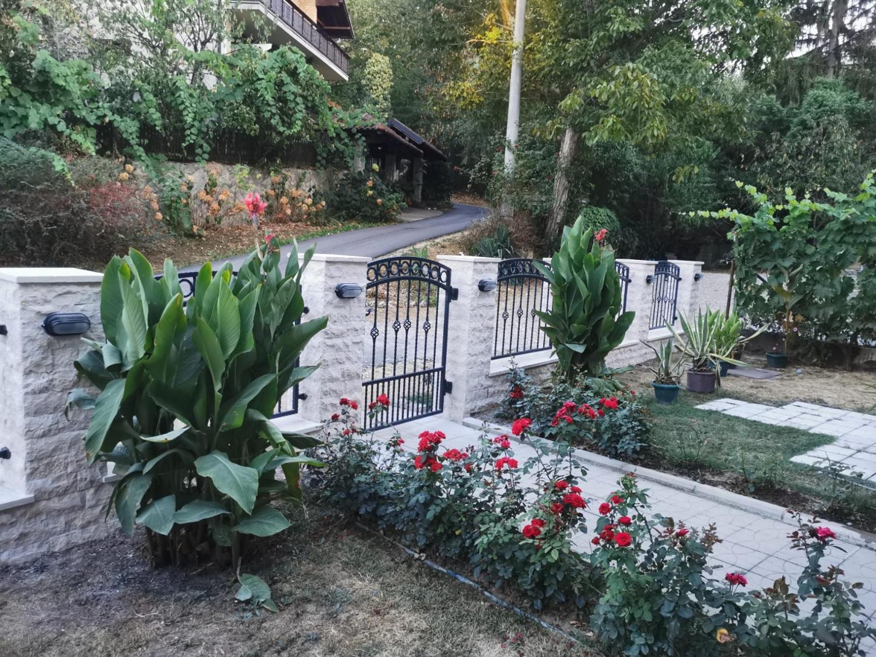 Apartmani "Vila Jelena" 阿然德洛维克 外观 照片