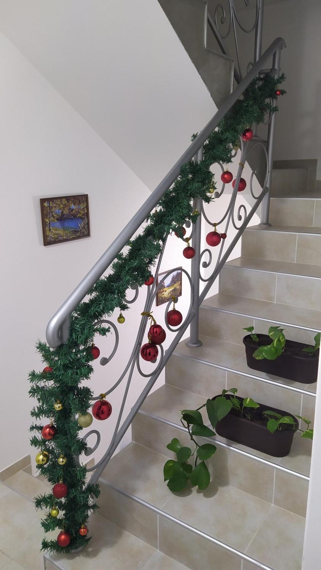 Apartmani "Vila Jelena" 阿然德洛维克 外观 照片