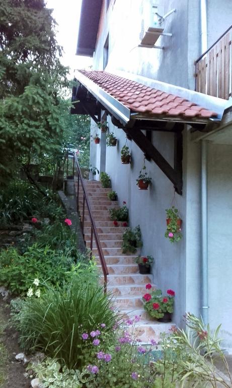 Apartmani "Vila Jelena" 阿然德洛维克 外观 照片