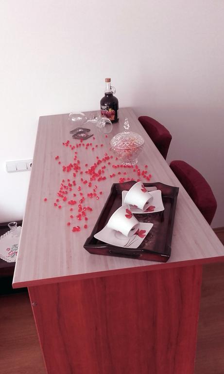 Apartmani "Vila Jelena" 阿然德洛维克 外观 照片