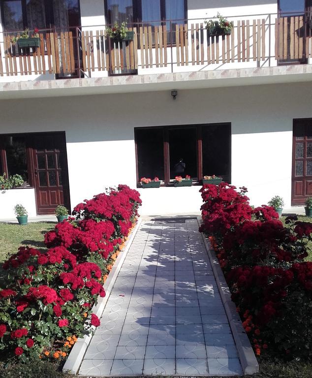 Apartmani "Vila Jelena" 阿然德洛维克 外观 照片