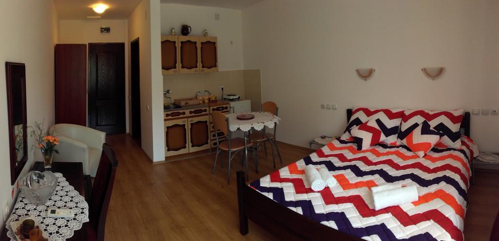 Apartmani "Vila Jelena" 阿然德洛维克 外观 照片